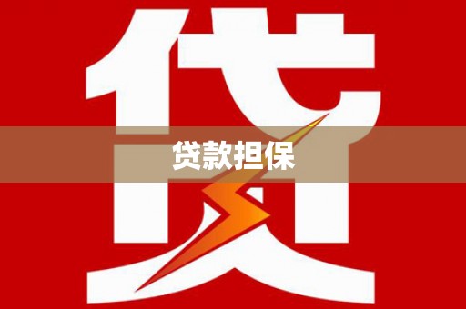 埔心贷款担保