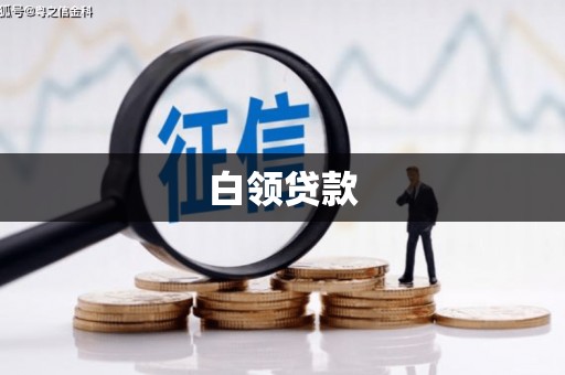 埔心白领贷款