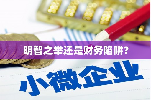 埔心明智之举还是财务陷阱？