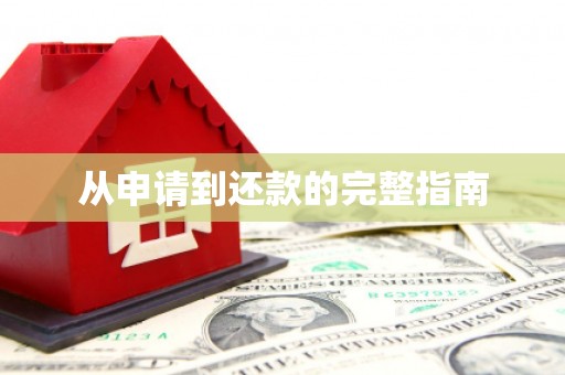 埔心从申请到还款的完整指南
