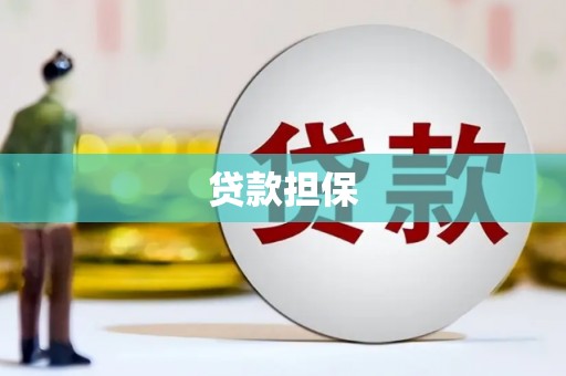 埔心贷款担保