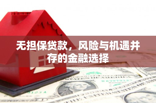 埔心无担保贷款，风险与机遇并存的金融选择
