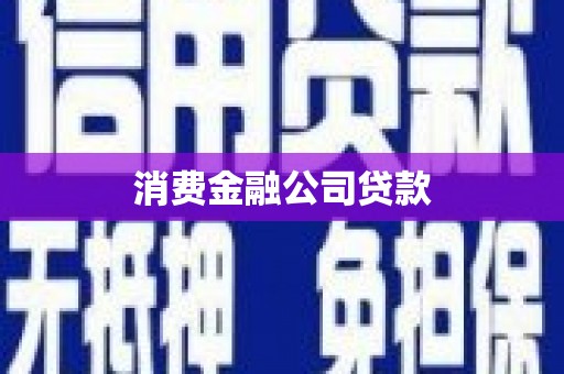埔心消费金融公司贷款