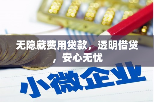 埔心无隐藏费用贷款，透明借贷，安心无忧