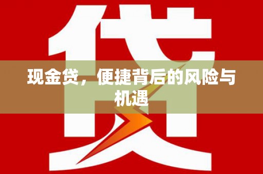 埔心现金贷，便捷背后的风险与机遇
