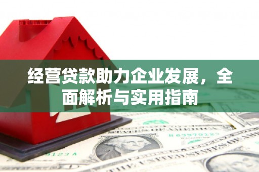 埔心经营贷款助力企业发展，全面解析与实用指南