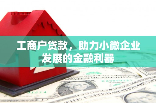 埔心工商户贷款，助力小微企业发展的金融利器