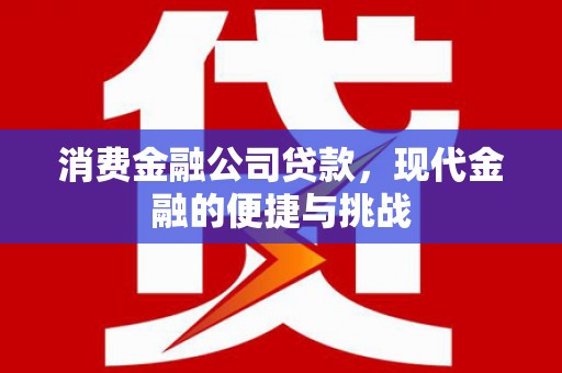 埔心消费金融公司贷款，现代金融的便捷与挑战