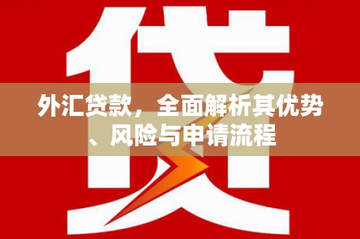 埔心外汇贷款，全面解析其优势、风险与申请流程