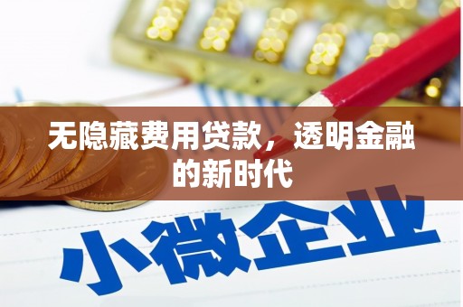 埔心无隐藏费用贷款，透明金融的新时代