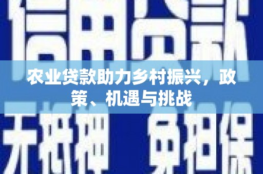 埔心农业贷款助力乡村振兴，政策、机遇与挑战