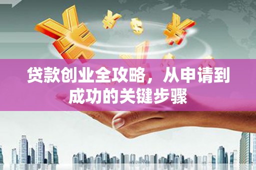 埔心贷款创业全攻略，从申请到成功的关键步骤