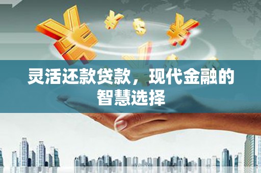 埔心灵活还款贷款，现代金融的智慧选择