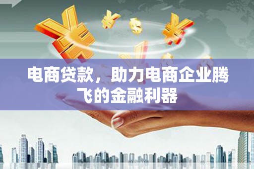埔心电商贷款，助力电商企业腾飞的金融利器