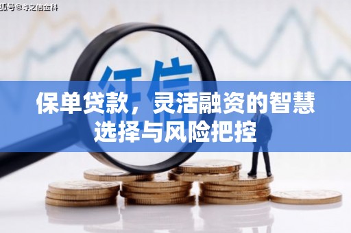 埔心保单贷款，灵活融资的智慧选择与风险把控