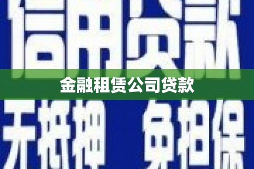 埔心金融租赁公司贷款