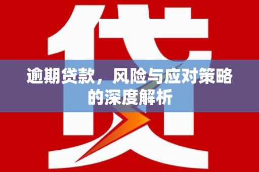 埔心逾期贷款，风险与应对策略的深度解析