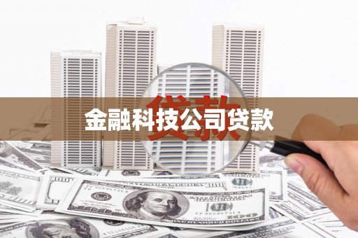 埔心金融科技公司贷款