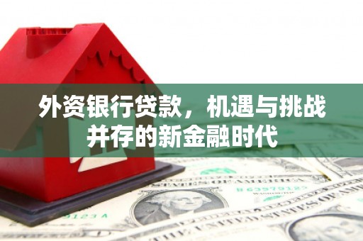 埔心外资银行贷款，机遇与挑战并存的新金融时代