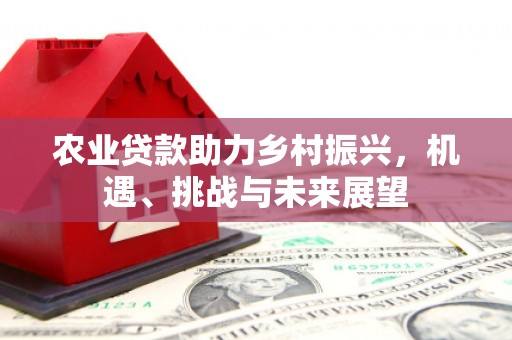 埔心农业贷款助力乡村振兴，机遇、挑战与未来展望