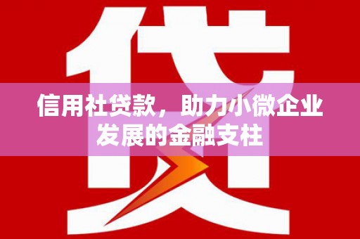 埔心信用社贷款，助力小微企业发展的金融支柱