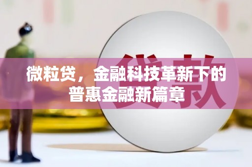 埔心微粒贷，金融科技革新下的普惠金融新篇章