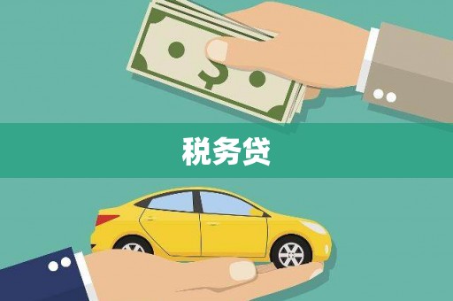 埔心税务贷