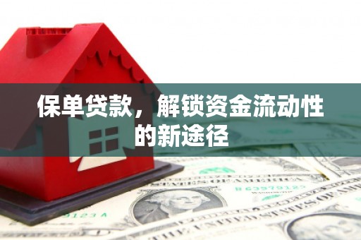 埔心保单贷款，解锁资金流动性的新途径
