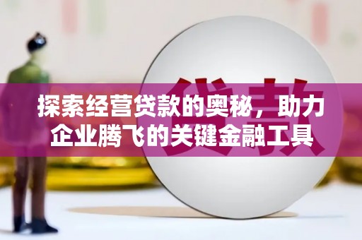 埔心探索经营贷款的奥秘，助力企业腾飞的关键金融工具
