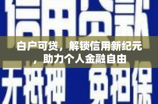 埔心白户可贷，解锁信用新纪元，助力个人金融自由