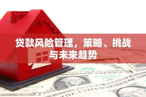 埔心贷款风险管理，策略、挑战与未来趋势
