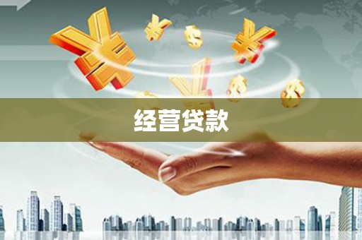 埔心经营贷款