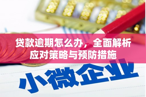 埔心贷款逾期怎么办，全面解析应对策略与预防措施