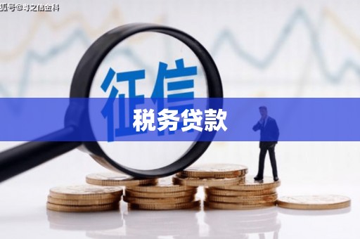 埔心税务贷款