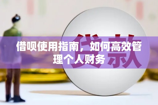 埔心借呗使用指南，如何高效管理个人财务