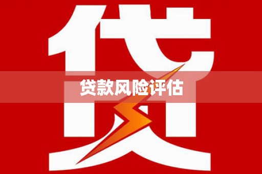 埔心贷款风险评估