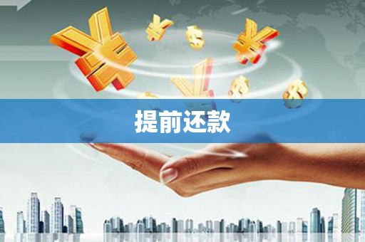 埔心提前还款
