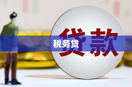 埔心税务贷