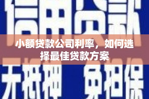 埔心小额贷款公司利率，如何选择最佳贷款方案