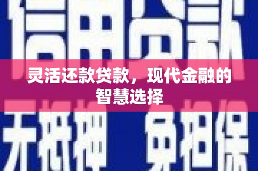 埔心灵活还款贷款，现代金融的智慧选择