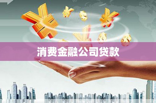 埔心消费金融公司贷款