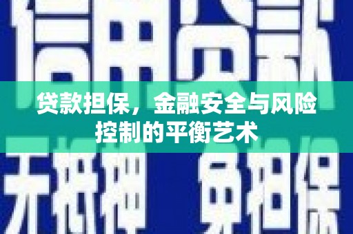 埔心贷款担保，金融安全与风险控制的平衡艺术