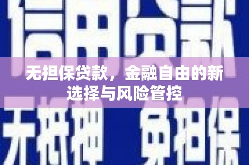 埔心无担保贷款，金融自由的新选择与风险管控