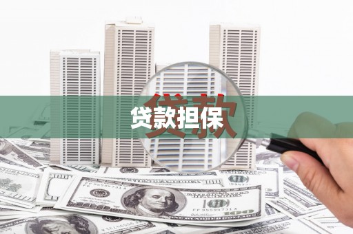埔心贷款担保