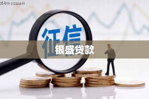 埔心银盛贷款