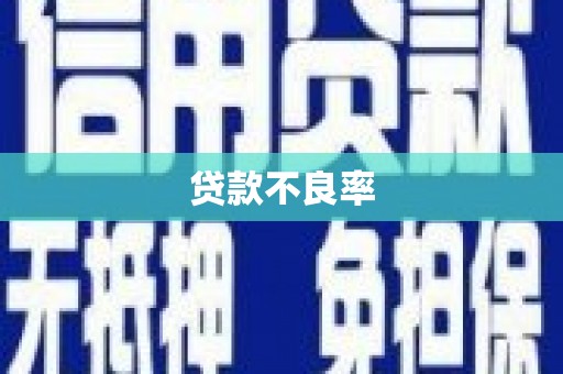 埔心贷款不良率