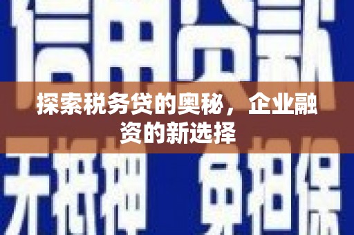 埔心探索税务贷的奥秘，企业融资的新选择