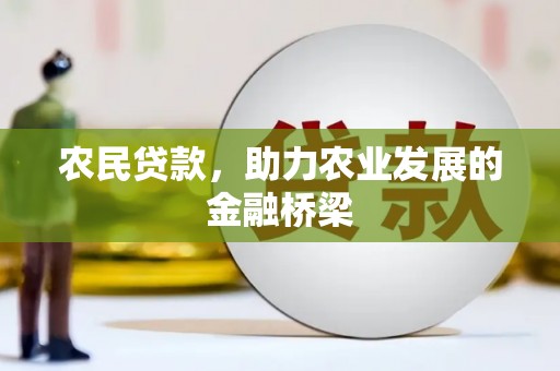 埔心农民贷款，助力农业发展的金融桥梁