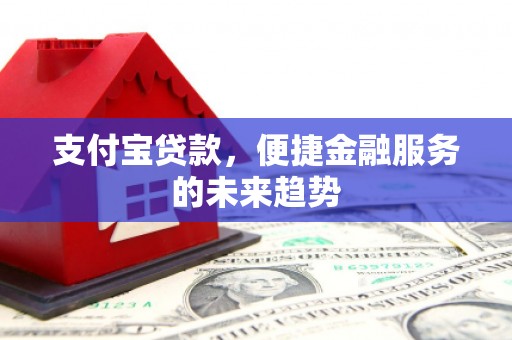 埔心支付宝贷款，便捷金融服务的未来趋势