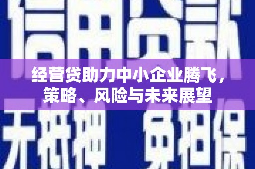 埔心经营贷助力中小企业腾飞，策略、风险与未来展望